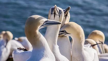 华体会官网——打造极致娱乐体验的新纪元